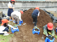 DSCN0517