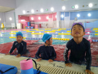 DSCF0237
