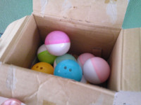 DSCF0500