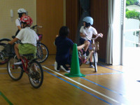 DSCF0537