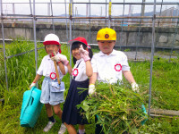 DSCF0015