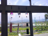 DSCF0705