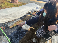 2年1組_おんがく_船田　みどり_職員会文書など_7