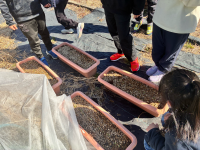 2年1組_おんがく_船田　みどり_職員会文書など_5