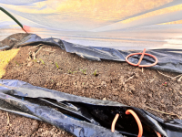 2年1組_おんがく_船田　みどり_職員会文書など_3